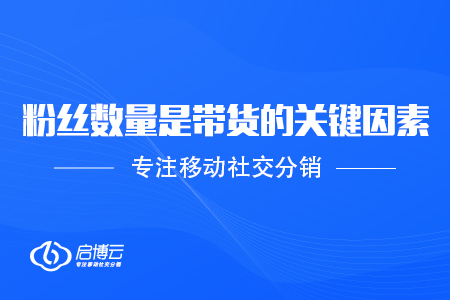 粉絲數量是帶貨的關鍵因素
