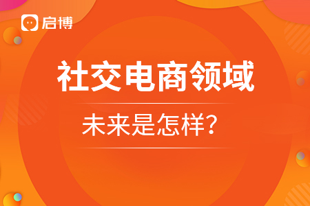 社交電商領域的未來是怎樣？