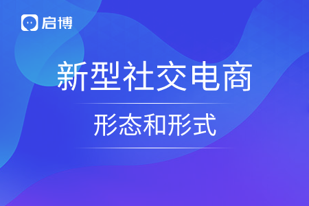 新型社交電商的形態和形式
